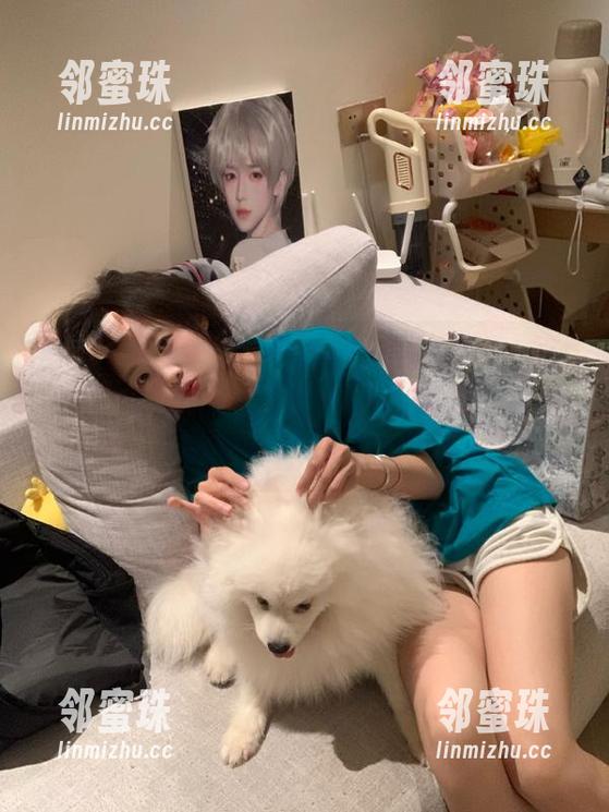 开启“wwwfuli”吃瓜新方式，导航带我轻松“上车”，瓜甜得不要不要的！