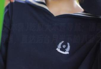 吃瓜大本营导航：请跟随这条路线，直达后台月光下的八卦之路