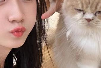 直达每日吃瓜51网，今天的猜测又要蹦出来了！