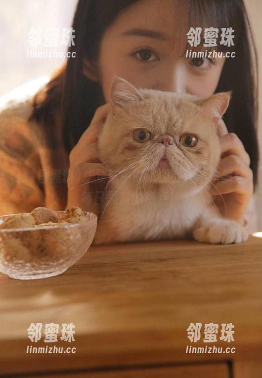 咸淡适中的资源，还不快抓住每日黑料的热点！